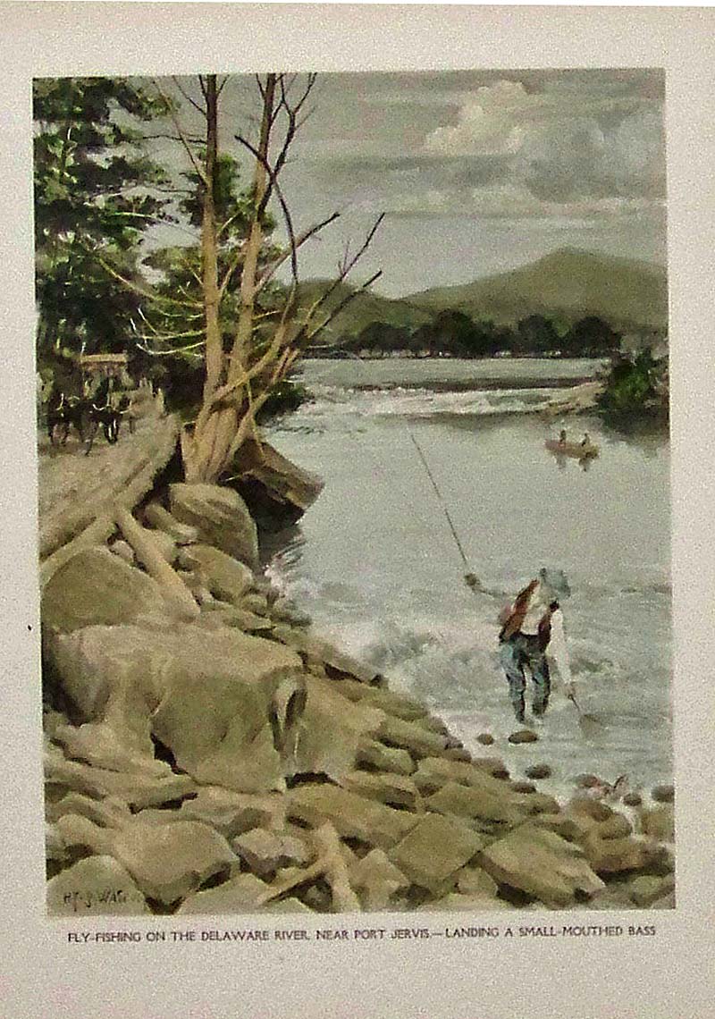 1885 Lake Flies Plate 2 - Antique Charles F. Orvis Fishing Print –  Adirondack Retro